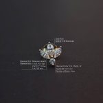 Diamond Lotus Flower Marquise Earring